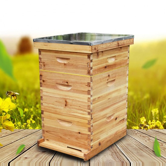 Beekeeping Hives Complete 10-Frame Beehive Kit – Wax-Coated Fir Wood Apicultura Bee Box Beehive Kit