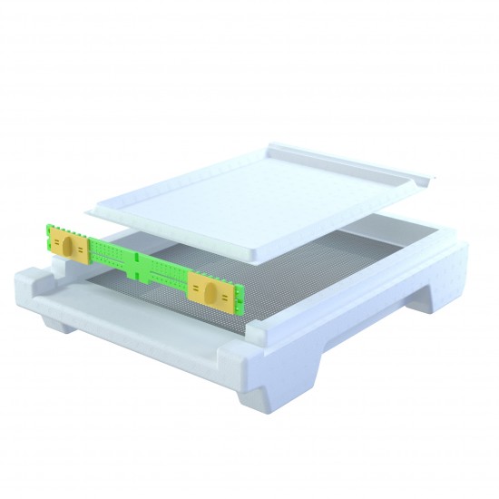 Beekeeping Equipment EPS 10 Frames Langstroth Bee Hive Box