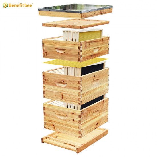 Beekeeping Hives Complete 10-Frame Beehive Kit – Wax-Coated Fir Wood Apicultura Bee Box Beehive Kit