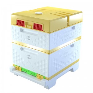 Beekeeping Equipment EPS 10 Frames Langstroth Bee Hive Box