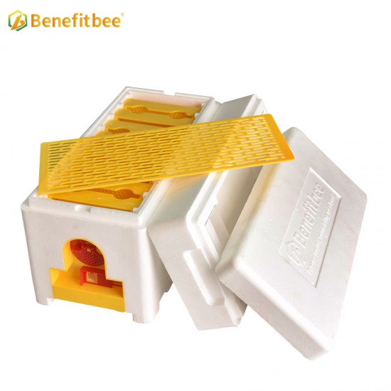 Beekeeping Bee Mating Box Queen Breeding Boxes Honeycomb Queen Rearing Hive Equipment for Beekeepers