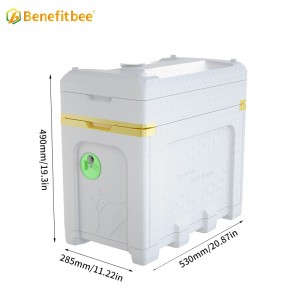 EPS Dadant Bee Hive Queen Bee Mating Nuc Box