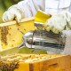 Bigger Capacity Stainless Steel Honey Bee Beekeeping Bee Smoker with Bellow