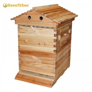 Automatic Flowing Honey Bee Hive Apiculture Beekeeping Equipment Tool Beehive (Without Flow Hive Frames)