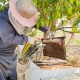 Bigger Capacity Stainless Steel Honey Bee Beekeeping Bee Smoker with Bellow