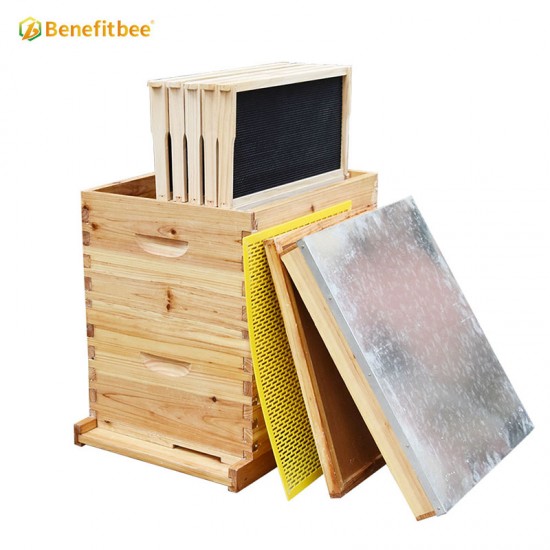 Benefitbee 10-Frames Complete Beehive Kit, 100% Beeswax Coated Bee Hive Includes Beehive Frames and Beeswax Coated Foundation Sheet (2 Layer)