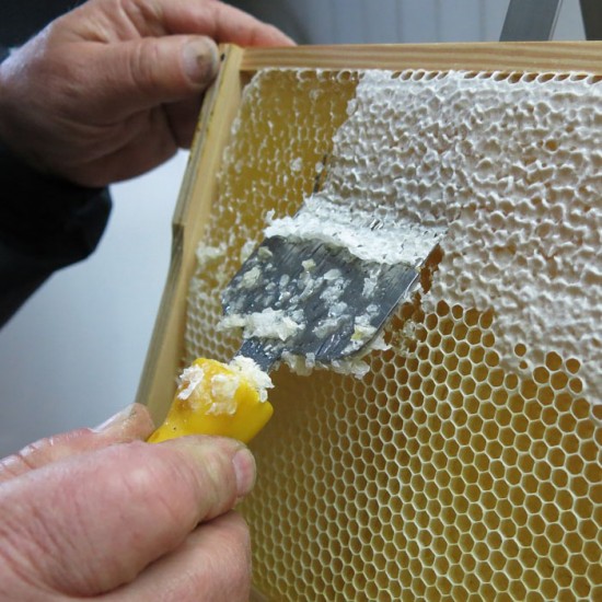 Bee Keeping Uncapping Fork Stainless Steel Honey Comb Beekeeping Tine Uncapping Fork Hive for Beekeeping Accessories
