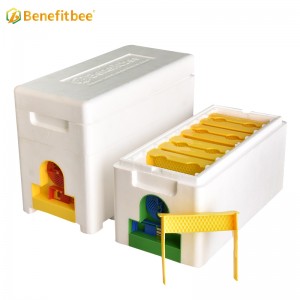 Beekeeping Bee Mating Box Queen Breeding Boxes Honeycomb Queen Rearing Hive Equipment for Beekeepers