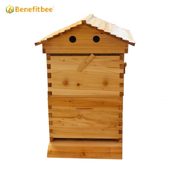 Automatic Flowing Honey Bee Hive Apiculture Beekeeping Equipment Tool Beehive (Without Flow Hive Frames)