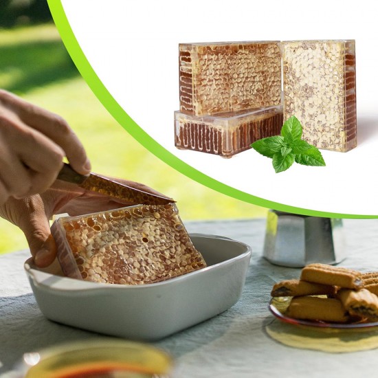 Beekeeping Supplies Bee Frames Bee Foundations Box 2 Pack Honey Comb Frames with 16 PCS Honeycomb Cassettes