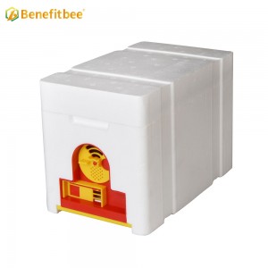 Plastic Bee Hives Manufacturers Mini Bee Hive Boxes Beekeeping Mating Box