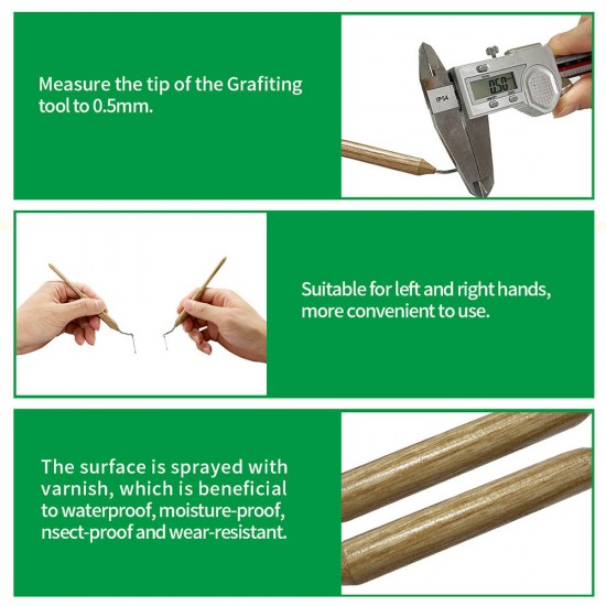 2 Pieces Beekeeping Grafting Tool Beekeeping Grafting Needle Beekeeping Moving Needle Tool Stainless Steel Queen Moving Needle Queen Bee Grafting Tool