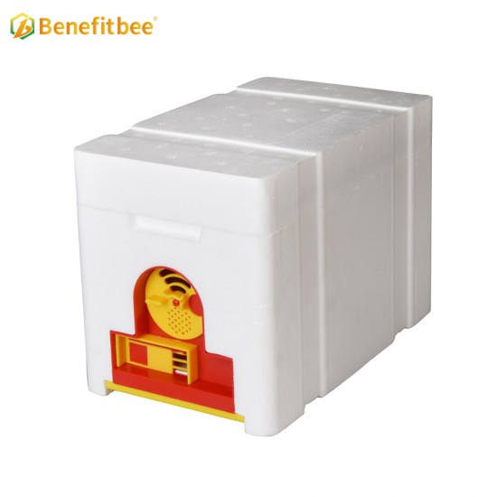 Plastic Bee Hives Manufacturers Mini Bee Hive Boxes Beekeeping Mating Box