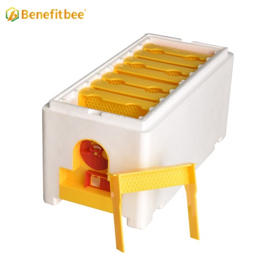 Beekeeping Bee Mating Box Queen Breeding Boxes Honeycomb Queen Rearing Hive Equipment for Beekeepers