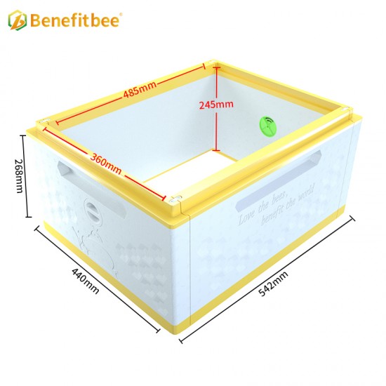 Beekeeping Equipment EPS 10 Frames Langstroth Bee Hive Box