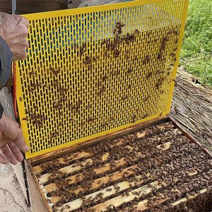 Benefitbee 12PCS Beekeeping Plastic Queen Excluder Fit for 10 Frame Langstroth Beehives Separating The Queen from Bees,510x410mm