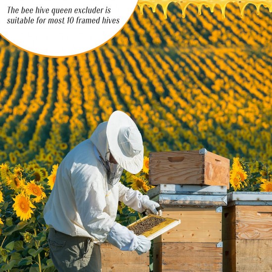10 Pcs 10 Frame Plastic Queen Excluder Queen Bee Excluder for Bee Hive Beekeeping, Separating Queen Bees from Honey, Beekeepers Looking to Harvest Honey (Yellow,10 Frame)