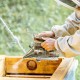 Hive Tools Stainless Steel Benefitbee Honey Keeper Bee Hive Smoker Leather Bee Smoker