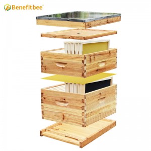 Benefitbee 10-Frames Complete Beehive Kit, 100% Beeswax Coated Bee Hive Includes Beehive Frames and Beeswax Coated Foundation Sheet (2 Layer)