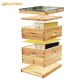 Benefitbee 10-Frames Complete Beehive Kit, 100% Beeswax Coated Bee Hive Includes Beehive Frames and Beeswax Coated Foundation Sheet (2 Layer)