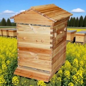 Automatic Flowing Honey Bee Hive Apiculture Beekeeping Equipment Tool Beehive (Without Flow Hive Frames)
