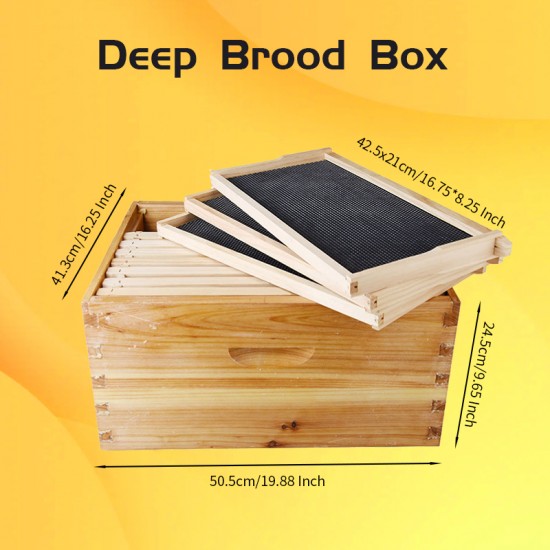 Beekeeping Supplies Four Layer Bee Hive Langstroth Beehive Kit