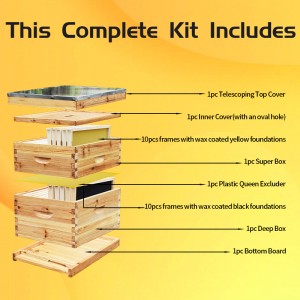 Benefitbee 10-Frames Complete Beehive Kit, 100% Beeswax Coated Bee Hive Includes Beehive Frames and Beeswax Coated Foundation Sheet (2 Layer)