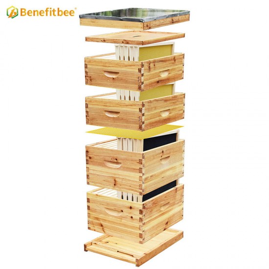 Beekeeping Supplies Four Layer Bee Hive Langstroth Beehive Kit