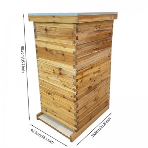 Beekeeping Supplies Four Layer Bee Hive Langstroth Beehive Kit Beekeeping Supplies Four Layer Bee Hive Langstroth Beehive Kit