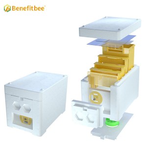 Beekeeper Supplies Nuc Box Queen Bee Breeding Mating Beehive