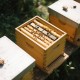 4L Beehive Feeder Beehive Frame Feeder Deep Frame Water Feeder for Beekeeping Bee Feeding Tools