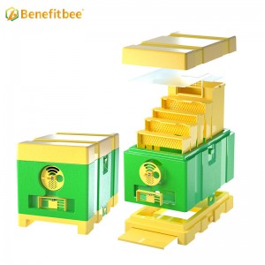 Bee Queen Mating Box Plastic Beehive Mini Mating Boxes Beekeeping Tools