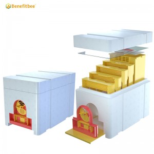 Plastic Bee Hives Manufacturers Mini Bee Hive Boxes Beekeeping Mating Box