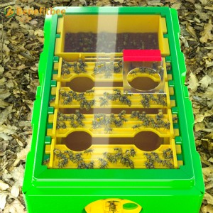 Bee Queen Mating Box Plastic Beehive Mini Mating Boxes Beekeeping Tools