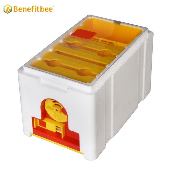 Plastic Bee Hives Manufacturers Mini Bee Hive Boxes Beekeeping Mating Box