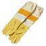 Beekeeper Protection Gear