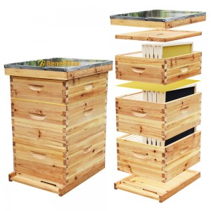 Beekeeping Hives Complete 10-Frame Beehive Kit – Wax-Coated Fir Wood Apicultura Bee Box Beehive Kit