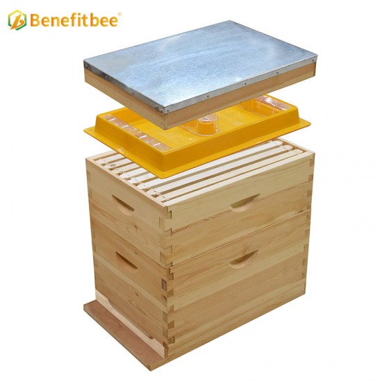 Beekeeping Beehive Top Feeder Australia Style 3.5L Plastic Bee Feeder
