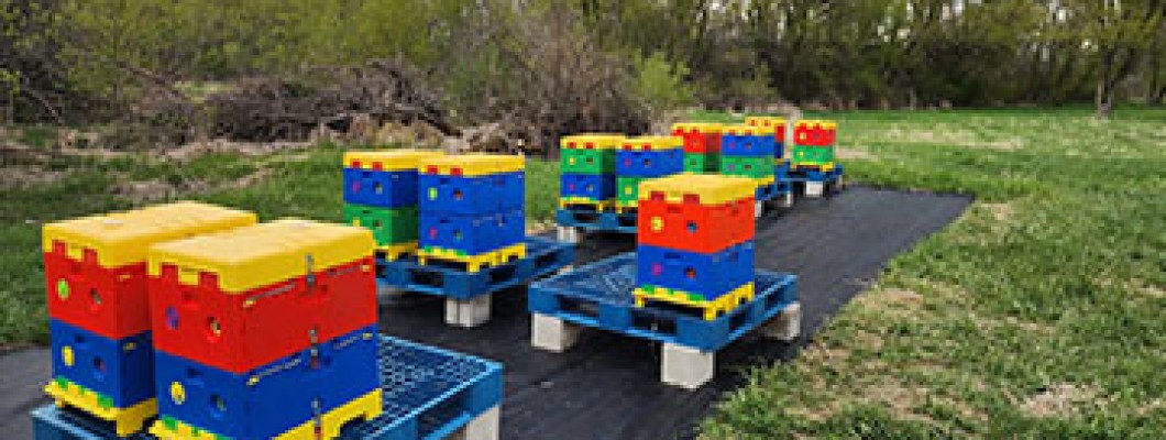 Advantages of Plastic Beehives for Beekeeping