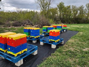 Advantages of Plastic Beehives for Beekeeping