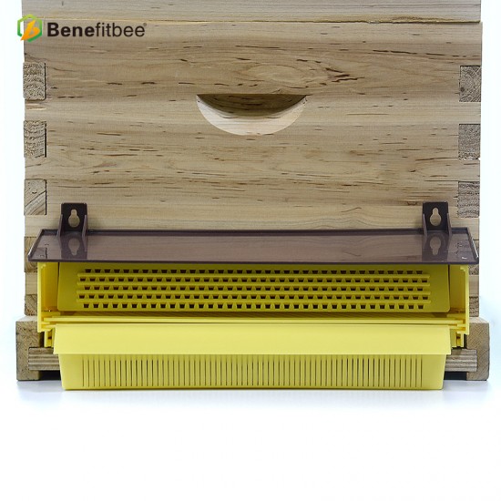 Pollen for Bee Hives 10 Frame Beekeeping Apiculture Bee Pollen Collector with Ventilated Pollen Tray